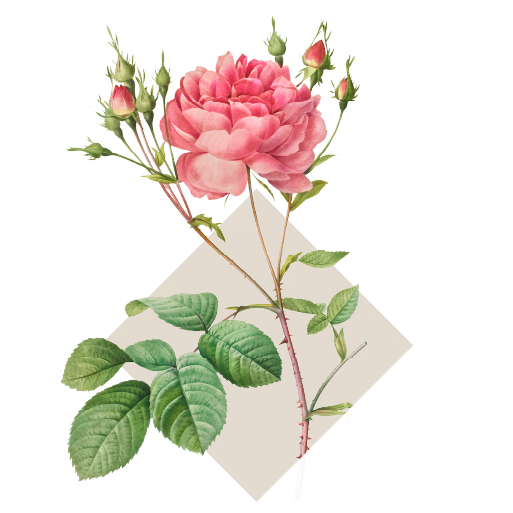 flowers 2 | Oszczędzanie Bez Wyrzeczeń